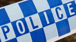 Image result for Theft of convenience - Officer